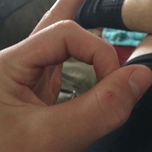 Meet your Posher, Kyron